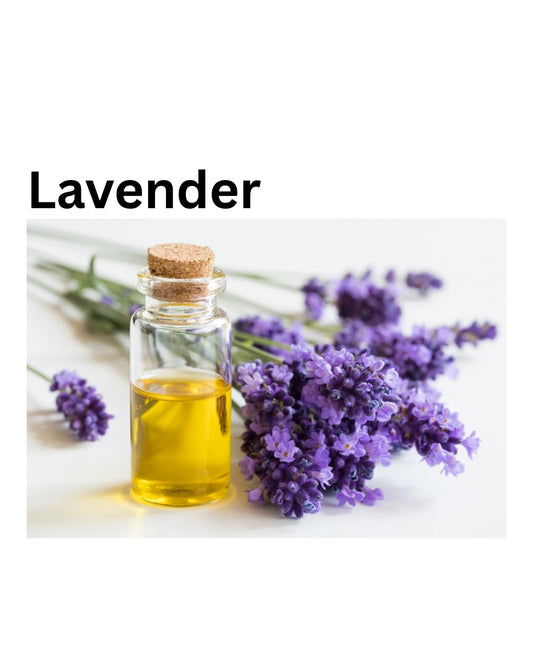 Jasmine & Lavender Face & Body Oil