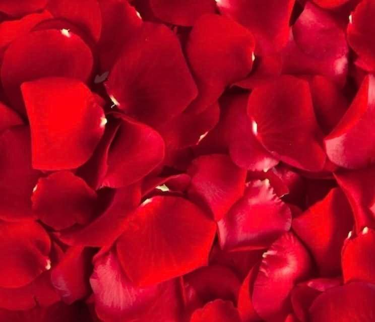 Dầu hoa hồng dưỡng da mặt và toàn thân